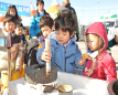 Paju Jangdan Soybean Festival