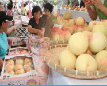 Jeonju Peach Festival