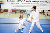 Expats practice traditional martial art taekkyeon