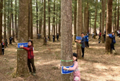 1,226 tree huggers embrace nature