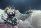 Underwater photographs create new world