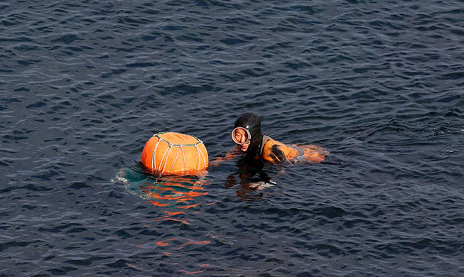 Jeju women skin divers to become UNESCO heritage items