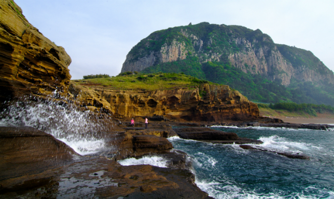 Spring fragrances fill Jeju fields