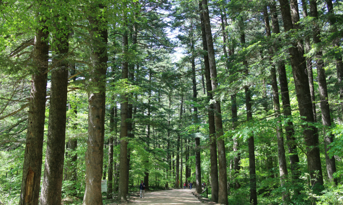 National parks offer fresh spring break 