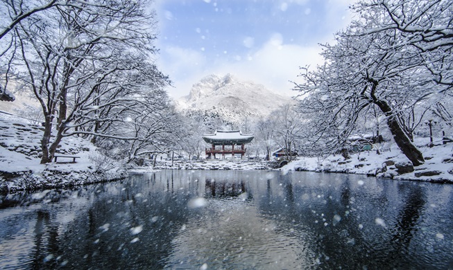 The beauty of Korean parks is captured in photos