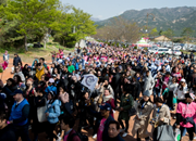 Yeongam Wangin Culture Festival