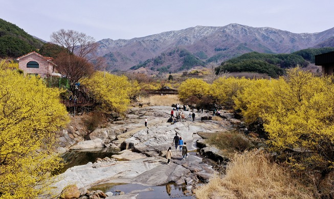 Scenic view of Sansuyu Village, Jirisan Mountain on spring solstice