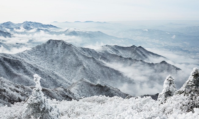 [Monthly KOREA] Snow-capped Wonder