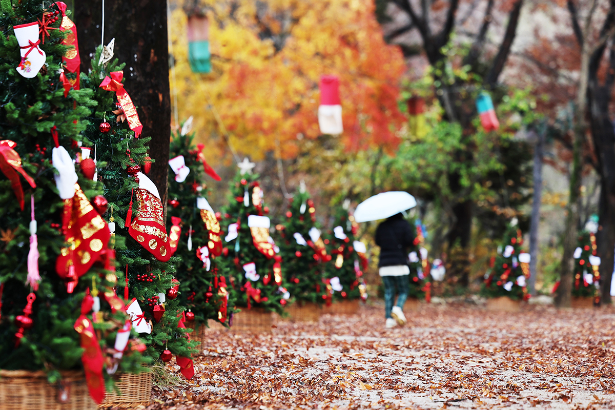 Fallen autumn leaves after the rain on the morning of Nov. 26 decorate Korean Folk Village in Yongin, Gyeonggi-do Province.